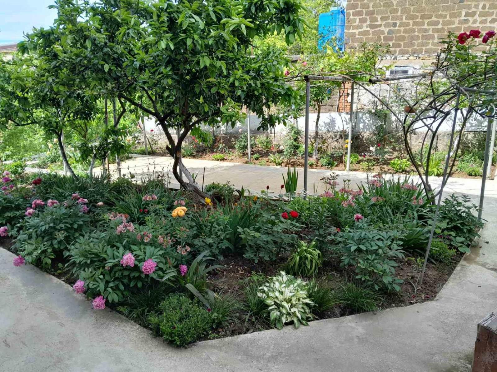 Guest House T&N Kutaisi Dış mekan fotoğraf