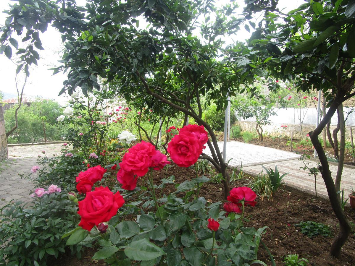 Guest House T&N Kutaisi Dış mekan fotoğraf